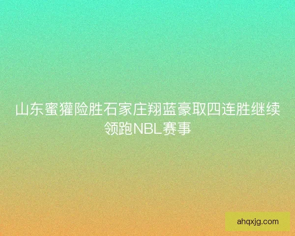 山东蜜獾险胜石家庄翔蓝豪取四连胜继续领跑NBL赛事